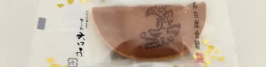 名古屋金鯱